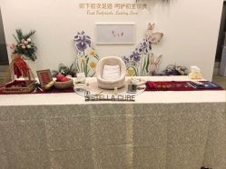 -上海星摇篮母婴护理中心(市妇幼店)