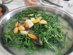 上汤护肝菜-台山第一家兴华黄鳝饭·黄鳝婆(彭沙坑总店)