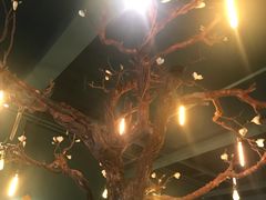 -梧桐树下(云锦世家店)