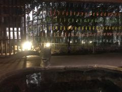 -中家鑫园温泉酒店鑫悦汤泉