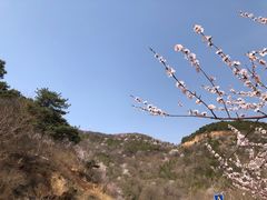 -北京西山国家森林公园