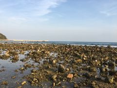-半山半岛洲际度假酒店·观海廊