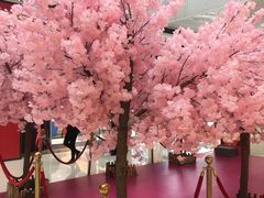 -万达广场(松江店)
