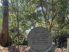 -羚羊峡古栈道森林公园