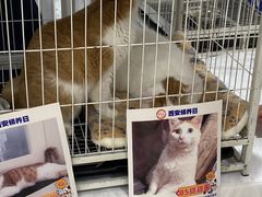-开元商城(西旺店)