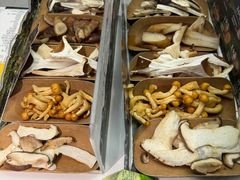 -芸山季·云南山珍菌火锅(南翔印象城MEGA店)