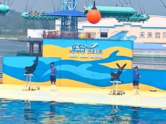 -秦皇岛乐岛海洋王国