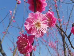 -花开海上生态园