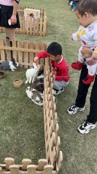 -小蜜蜂农场(凯德七宝购物广场店)