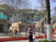 -荆州中山公园动物园