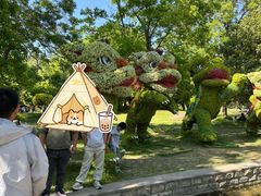 -洛阳市隋唐城遗址植物园