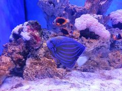 -多彩贵州城极地海洋世界