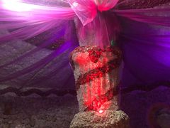 -水晶之星洗浴温泉汗蒸