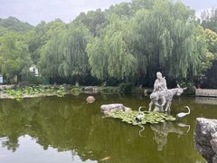 -宜兴张公洞