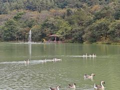 -广州白江湖森林公园