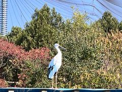 -森林公园(尖草坪区)