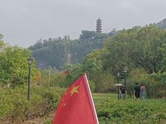 -南沙蒲洲花园
