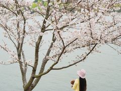 -羊山湖公园
