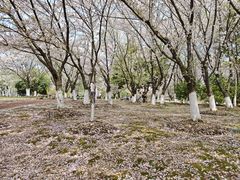 -江南大学(蠡湖校区)