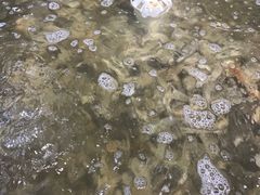 -盒马渔市餐厅