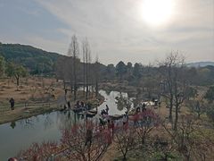 -无锡梅园公园