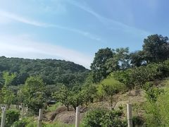 -南北湖风景区
