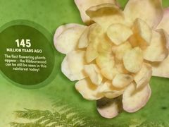 -热带雨林自然公园