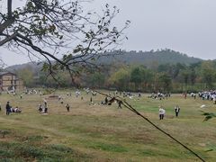 -黄陂区野村谷景区