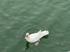 -南海子公园