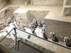 -秦始皇帝陵博物院(兵马俑)