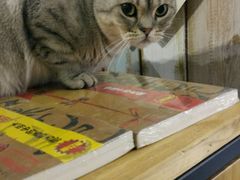 -小时光咖啡馆(开森度假森林店)