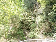 -石台牯牛降景区