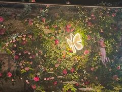 -秋霞圃