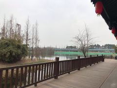 -白鹭湾湿地公园