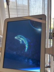 体验前-上海玫瑰医疗美容医院