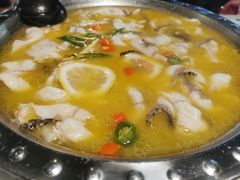 -陈生记黑鱼馆·20年活鱼现杀(宁波鼓楼店)