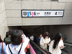 -大龙山(地铁站)