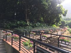 -月亮湾公园