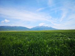 -青海湖国家重点风景名胜区