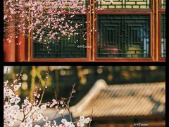-颐和园