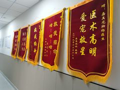 -嘉美宠物医院