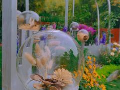 -深圳仙湖植物园