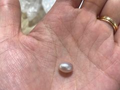 -蚌精BangGem·手工DIY(园区店)