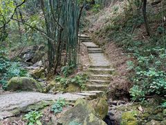 -羚羊峡古栈道森林公园