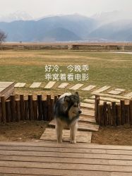 -纳帕海依拉草原