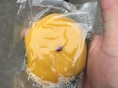 -南丫岛