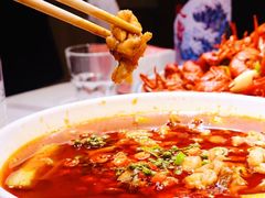 -杨氏青龙虾·羊蝎子(托乐嘉店)
