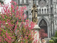 -圣约瑟夫大教堂