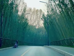 -中国唐苑