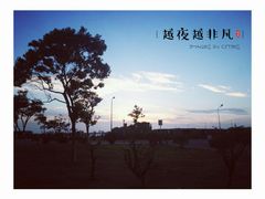 -南汇嘴观海公园